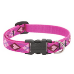 LupinePet LupinePet Dog Collar 1/2", 10-16" Puppy Love