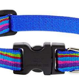 LupinePet LupinePet Dog Collar 1/2", 10-16" Ripple Creek