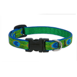 LupinePet LupinePet Dog Collar 1/2", 10-16" Tail Feathers