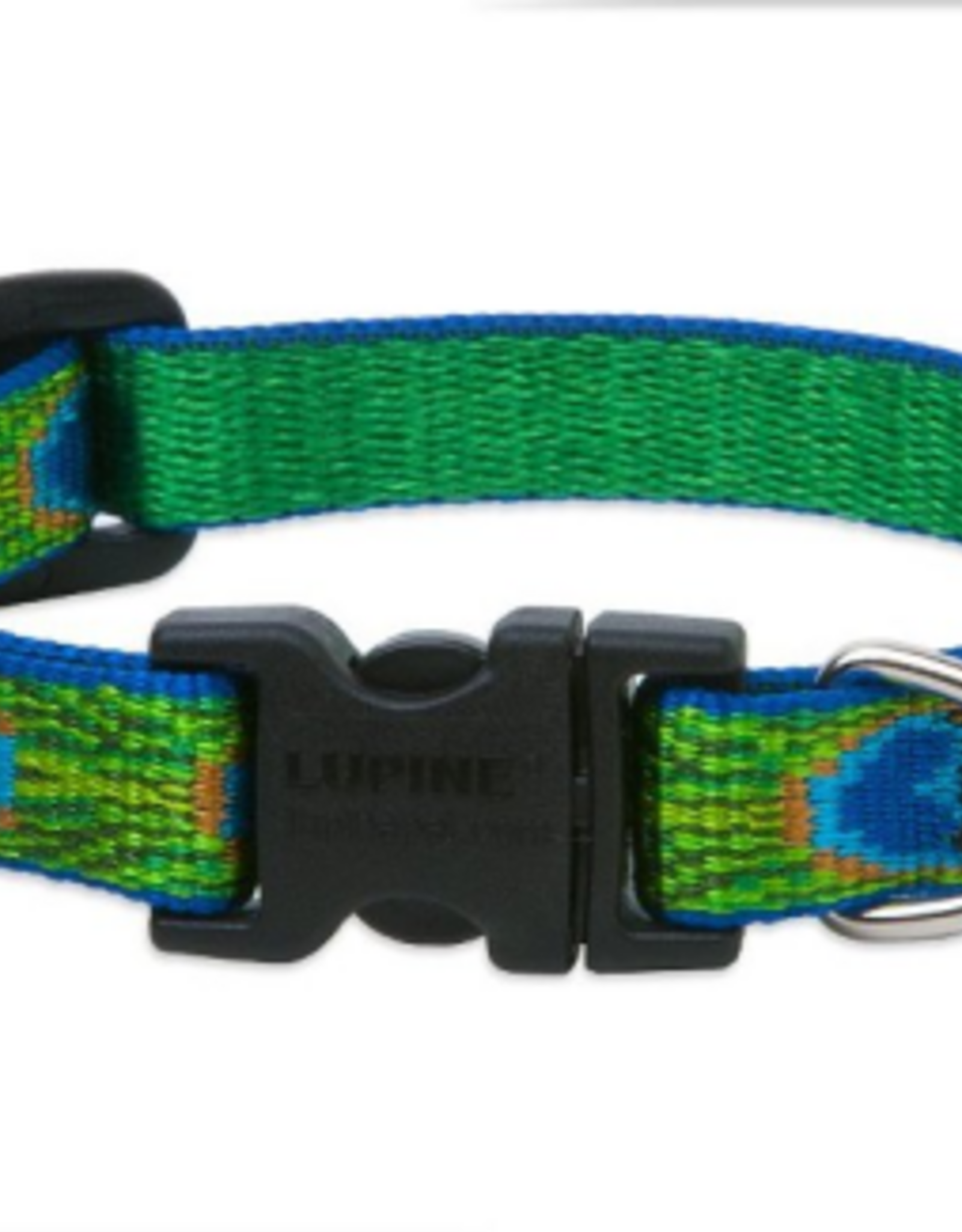 LupinePet Lupinepet Collar 1/2" 10-16" TAIL FEATHERS