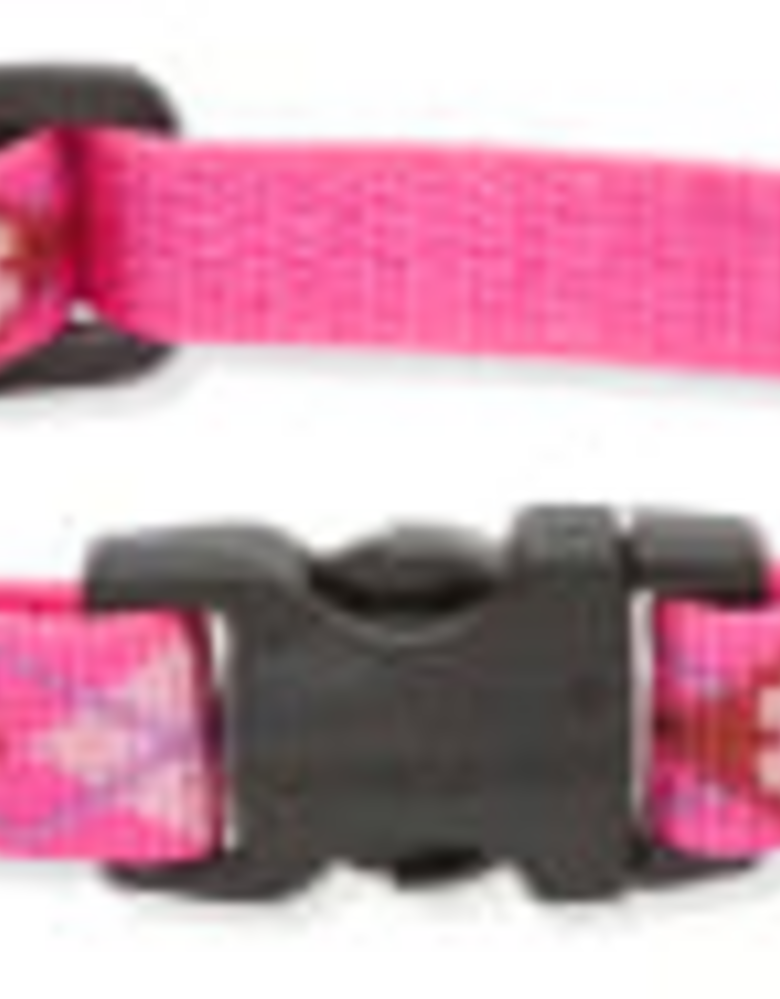LupinePet Lupinepet Collar 1/2" 8-12" PUPPY LOVE