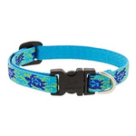 LupinePet LupinePet Dog Collar 1/2", 8-12" Turtle Reef
