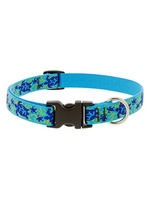 LupinePet LupinePet Dog Collar 3/4", 13-22" Turtle Reef