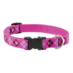 LupinePet LupinePet Dog Collar 3/4", 13-22" Puppy Love