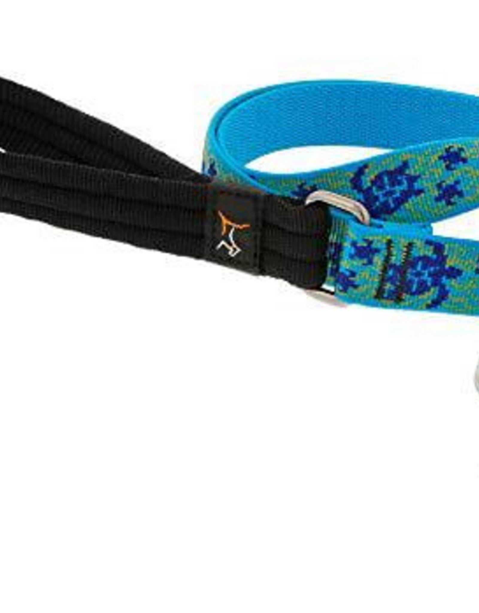 LupinePet Lupinepet Lead 1" Turtle Reef 6-foot Padded Handle Leash