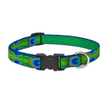 LupinePet LupinePet Dog Collar 3/4", 9-14" Tail Feathers