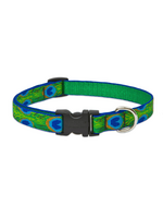 LupinePet LupinePet Dog Collar 3/4", 9-14" Tail Feathers