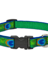 LupinePet Lupinepet Collar 3/4" 9-14" TAIL FEATHER