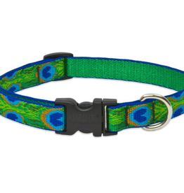 LupinePet LupinePet Dog Collar 3/4", 9-14" Tail Feathers