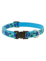 LupinePet LupinePet Dog Collar 3/4", 9-14" Turtle Reef