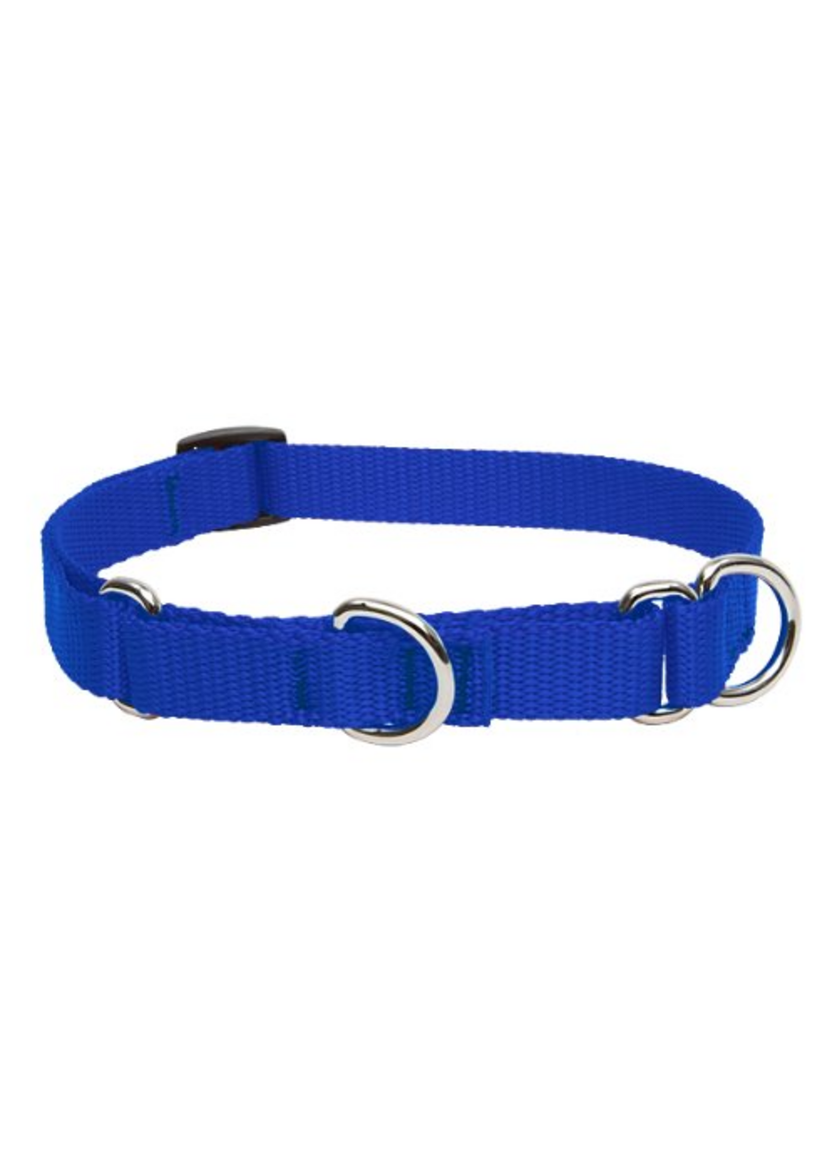 LupinePet LupinePet Dog Collar Martingale Adjustable 3/4", Blue 10-14"