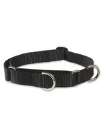 LupinePet LupinePet Dog Collar Martingale Adjustable 3/4", Black 14-20"