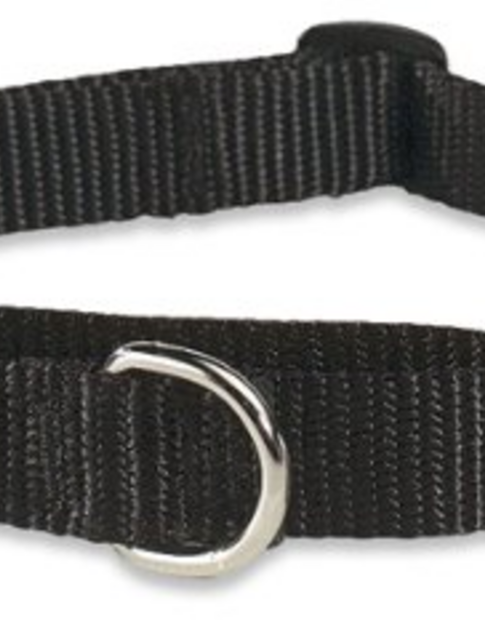 LupinePet LupinePet Basics 3/4" Black 14-20" Martingale Collar for Medium and Larger Dogs