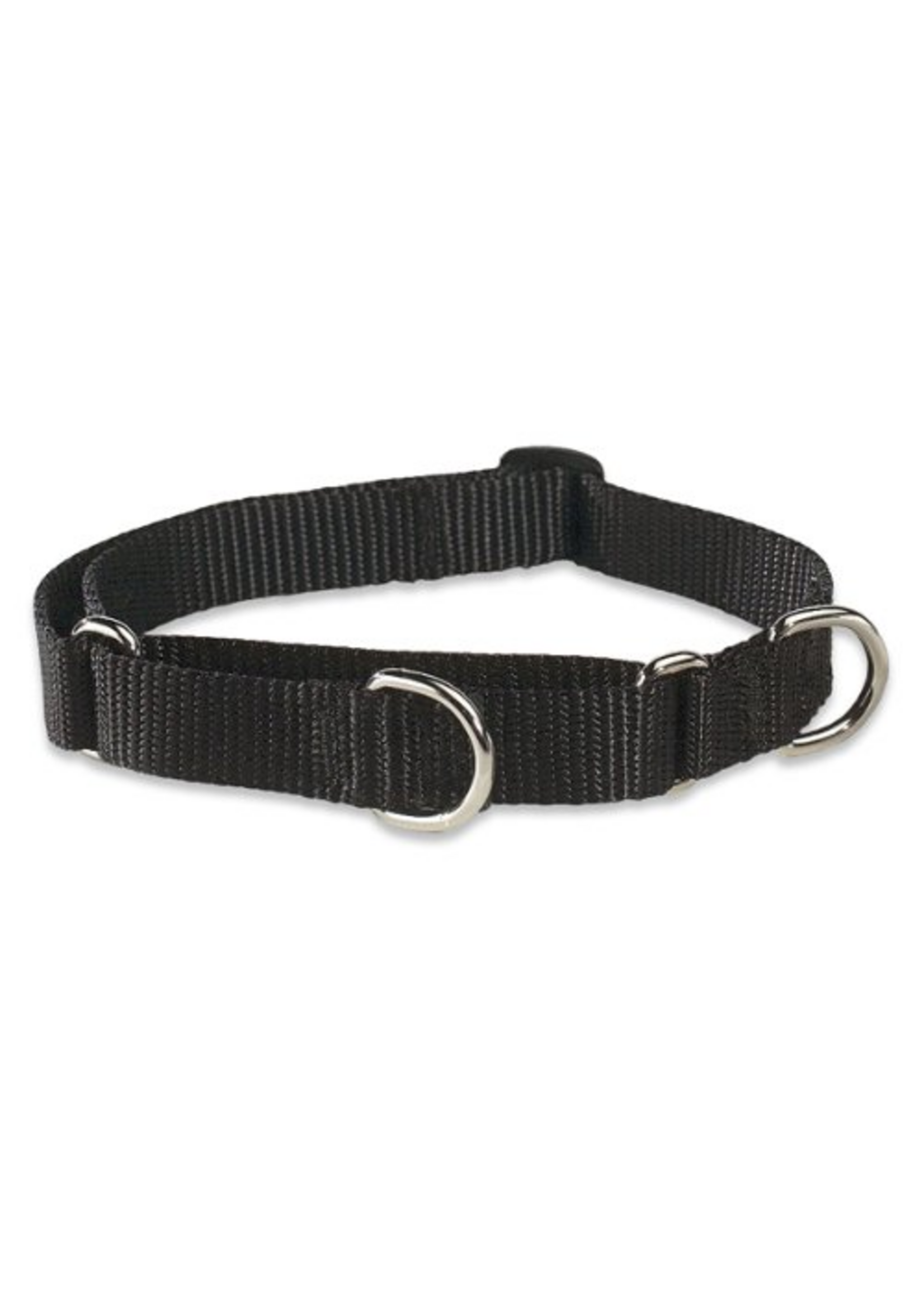 LupinePet LupinePet Dog Collar Martingale Adjustable 3/4", Black 14-20"