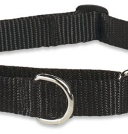 LupinePet LupinePet Dog Collar Martingale Adjustable 3/4", Black 14-20"