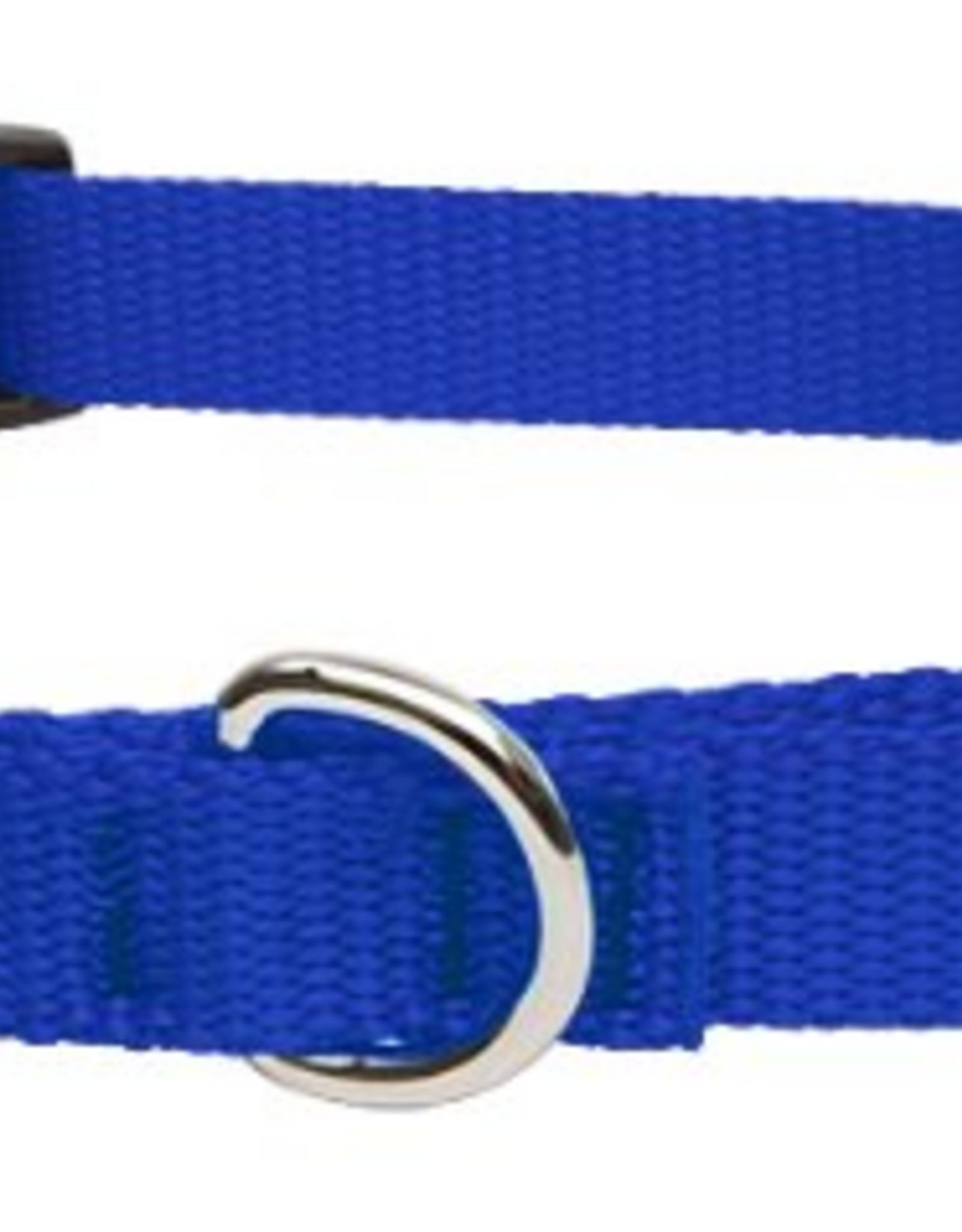 LupinePet LupinePet Basics 3/4" Blue 14-20" Martingale Collar for Medium and Larger Dogs