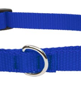 LupinePet LupinePet Dog Collar Martingale Adjustable 3/4", Blue 14-20"