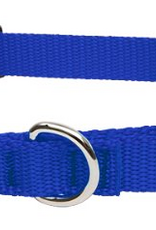 LupinePet LupinePet Basics 3/4" Blue 14-20" Martingale Collar for Medium and Larger Dogs
