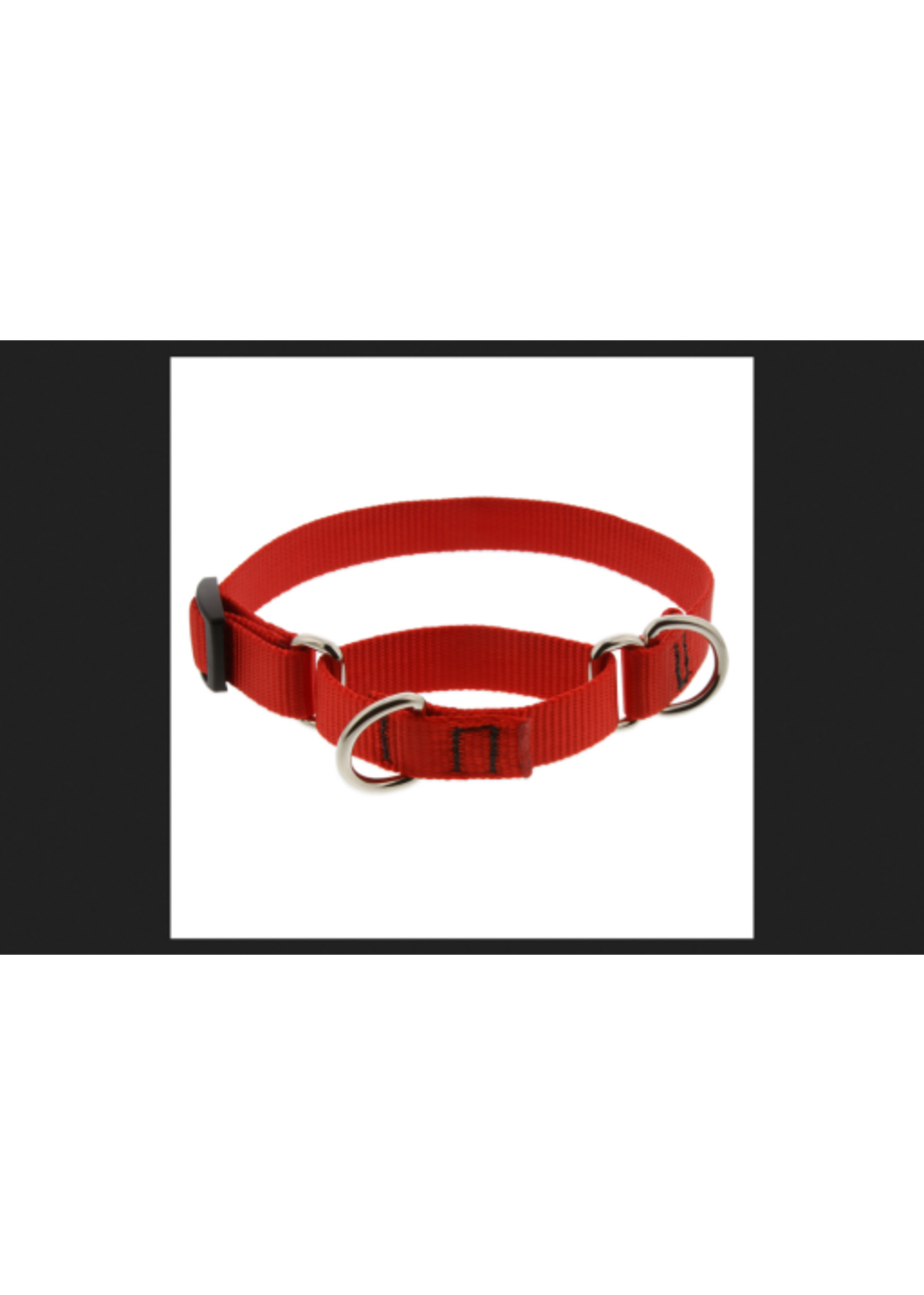 LupinePet LupinePet Dog Collar Martingale Adjustable 3/4", Red 14"-20"