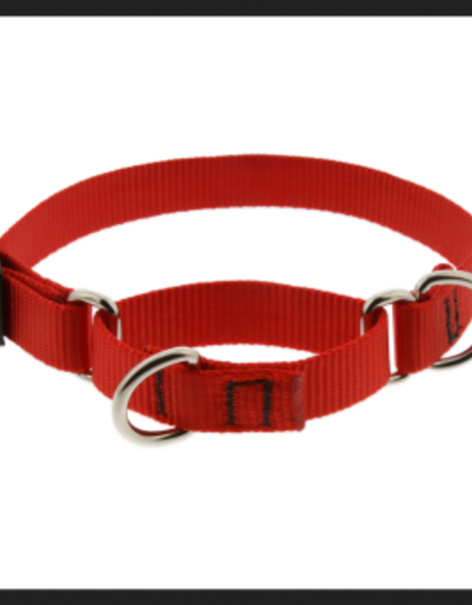 LupinePet Lupinepet Collar MARTINGALE 3/4" RED 14"-20"