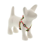 LupinePet LupinePet Dog Step-In Harness 1/2", 10-13" Petunias
