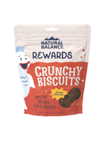 Natural Balance Natural Balance Rewards Crunchy Biscuits with Real Salmon Dog Treats - 14 oz