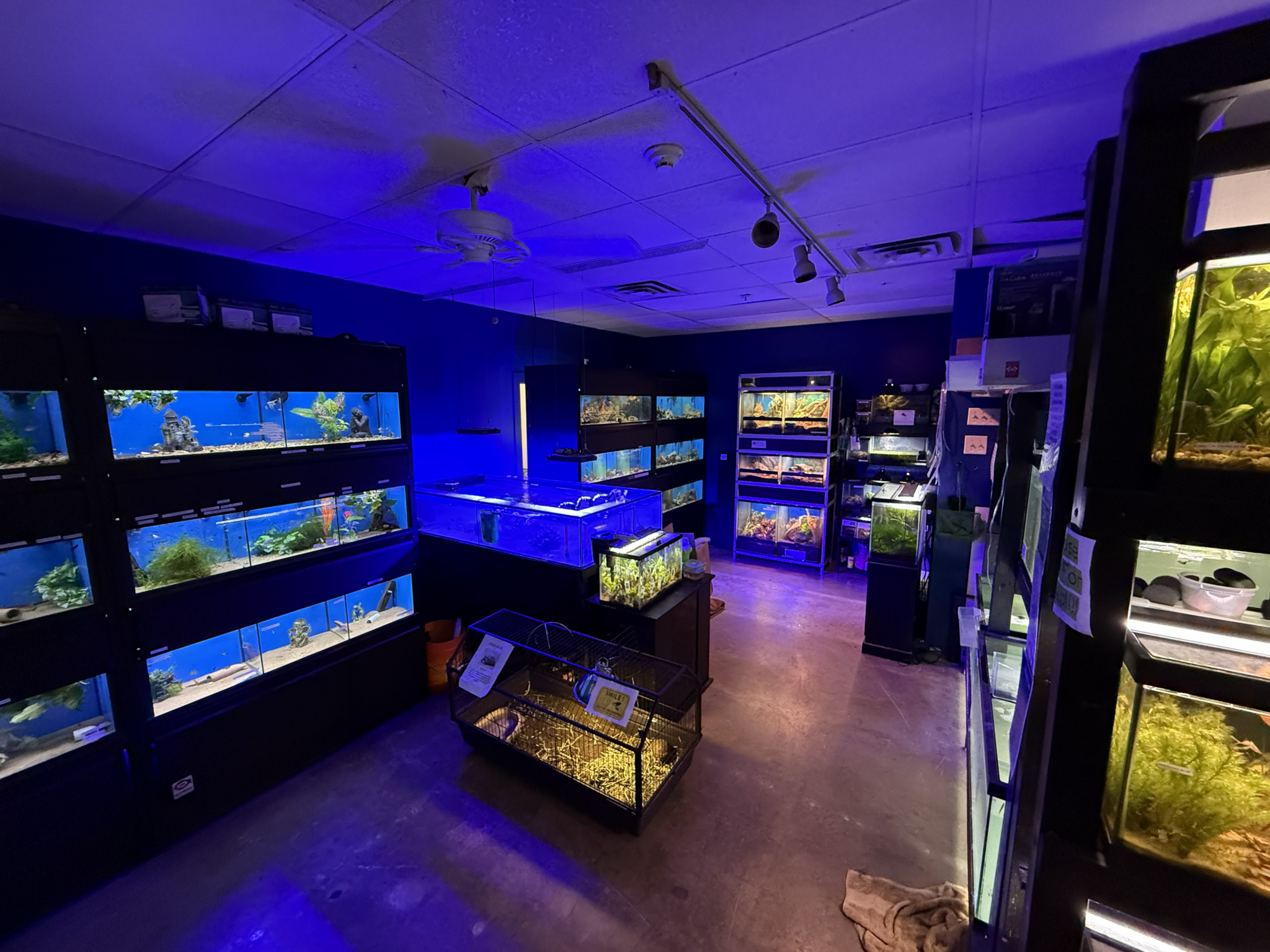 Aquarium