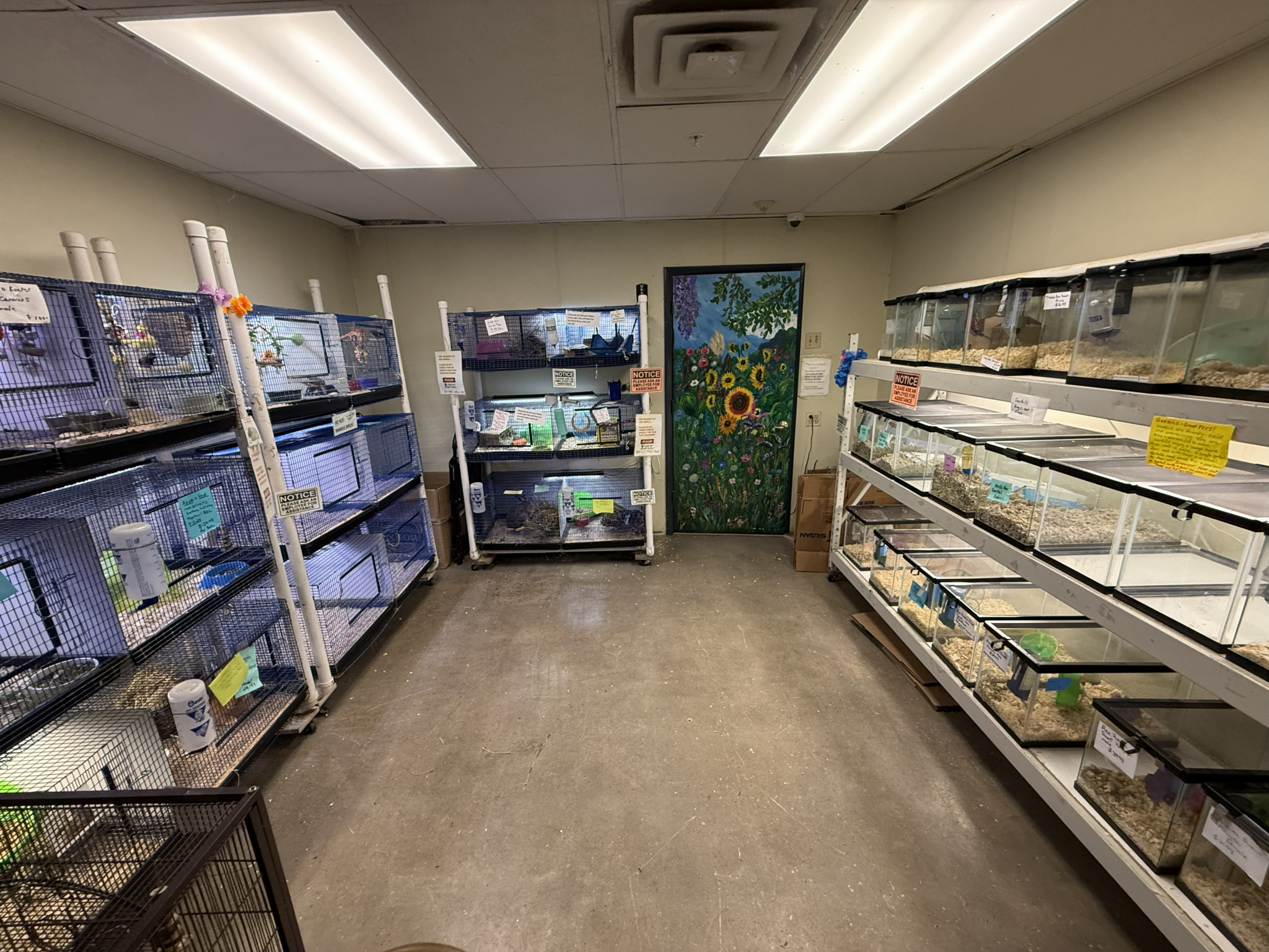 Animal Room