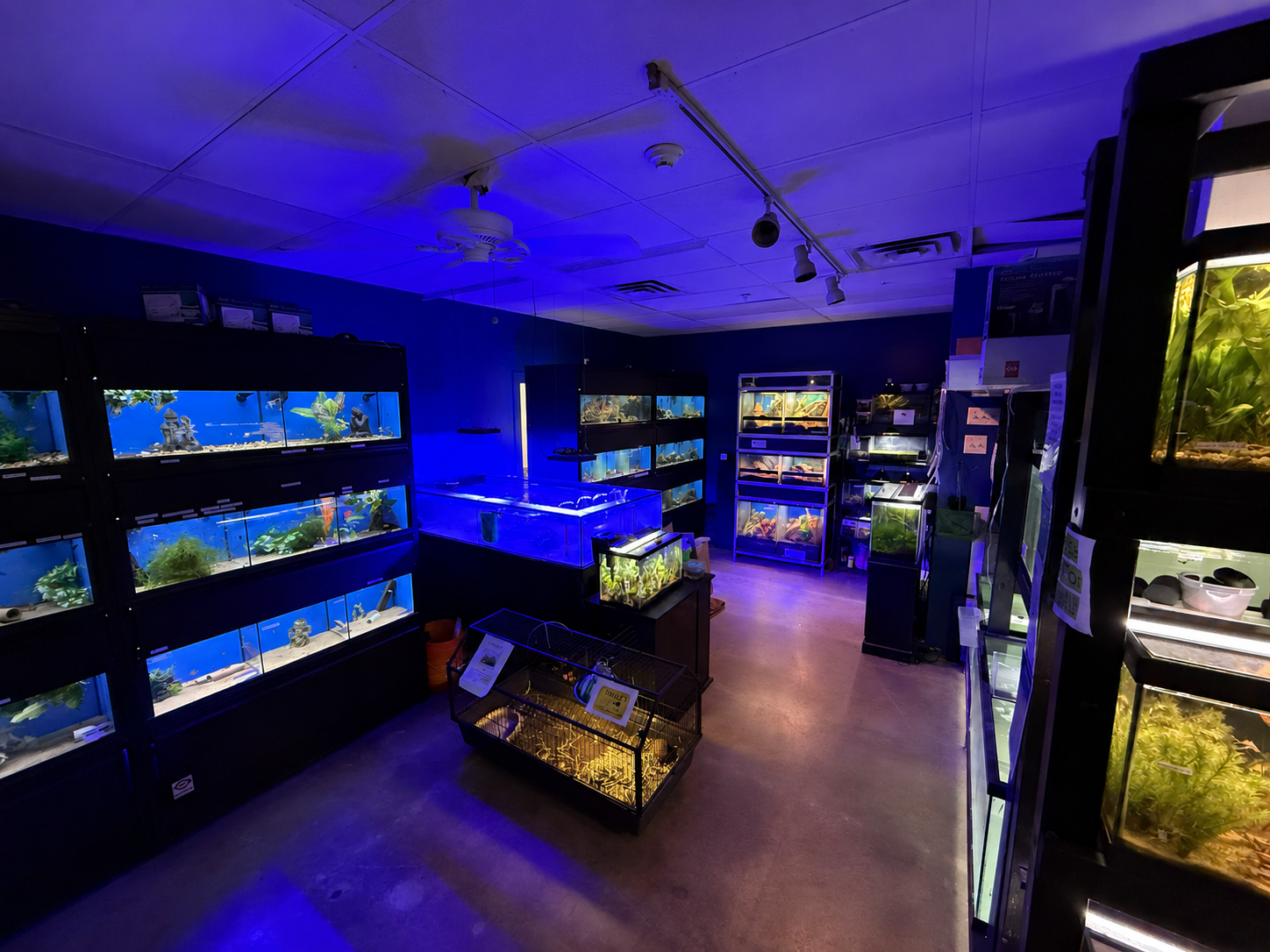 Aquarium