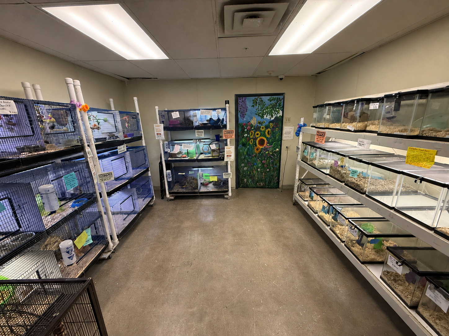 Animal Room