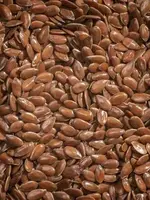 Stoltzfus Flax Seed - Whole - 50 lb