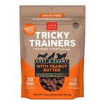 Cloud Star Cloud Star Tricky Trainers Peanut Butter Soft & Chewy Dog Treats - 12 oz