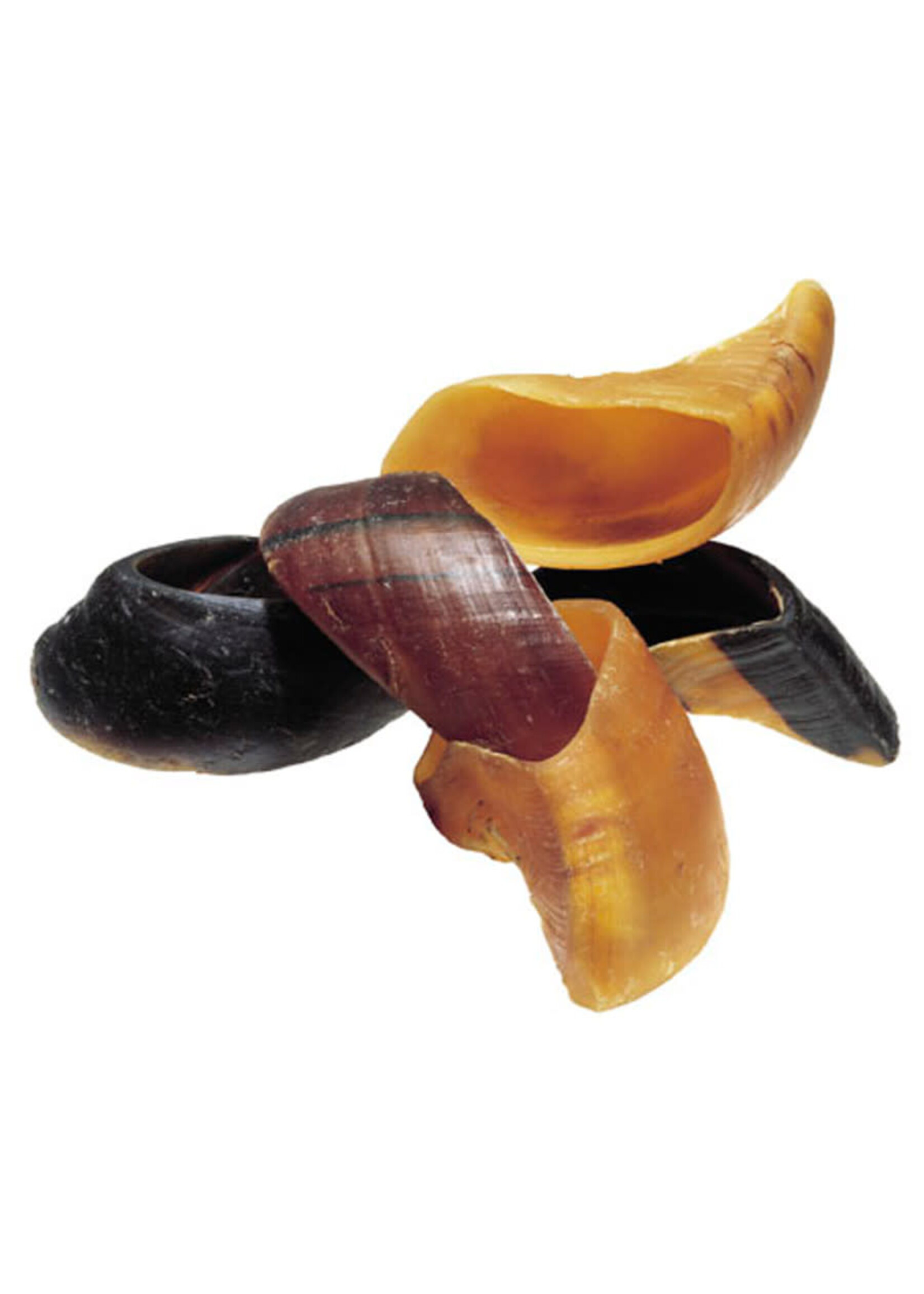 Redbarn Redbarn Cow Hoof Natural Dog Treat | Bulk (75)