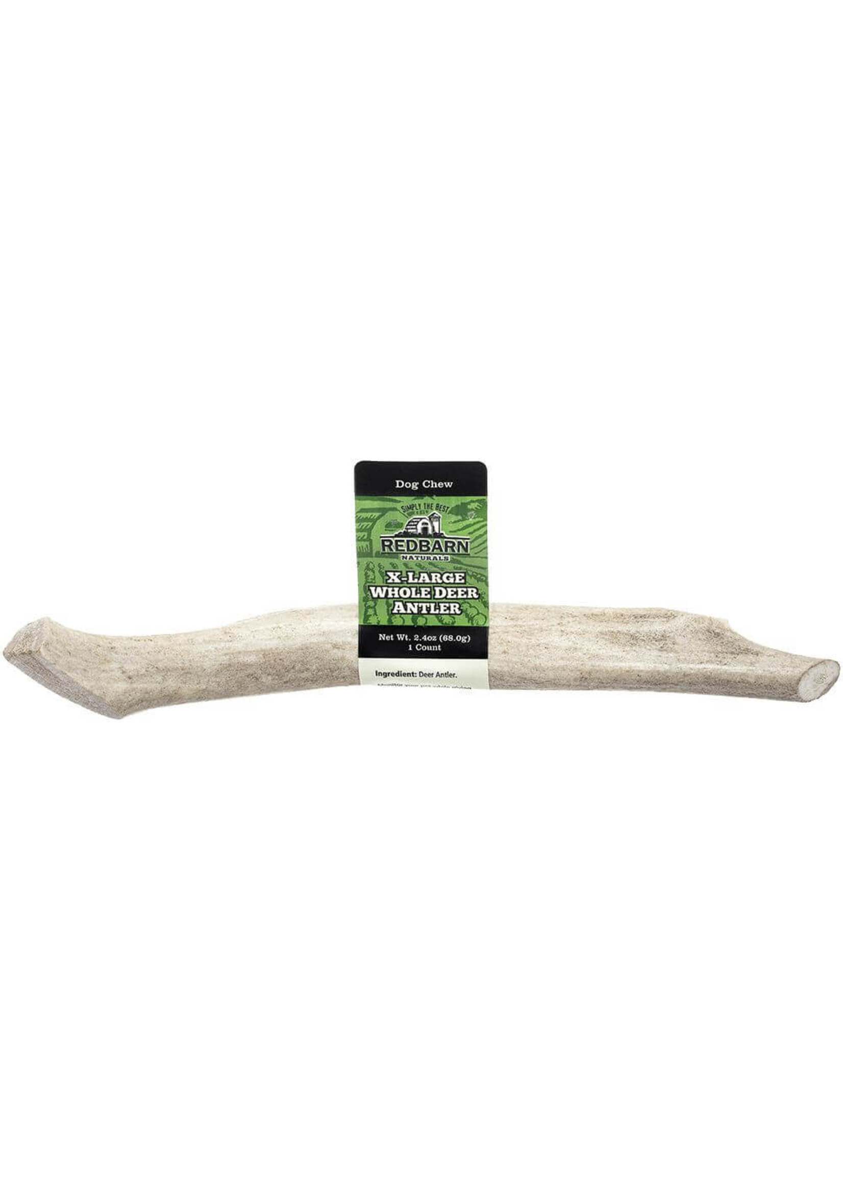 Redbarn Redbarn Whole Deer Antler Dog Treat - Extra Large (12)