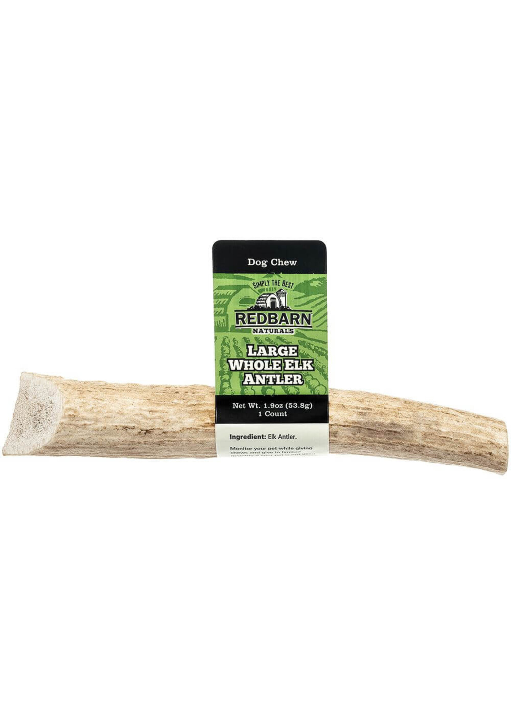 Redbarn Redbarn Whole Elk Antler Dog Treat - Large (12)
