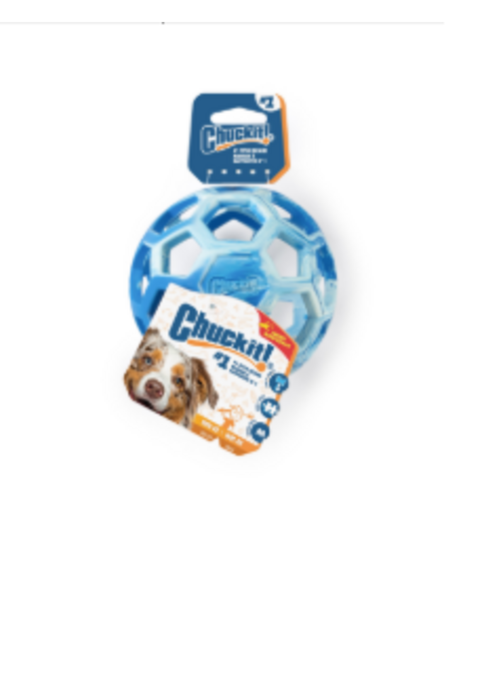 Petmate Chuckit! Hol-ee Roller Blue Medium