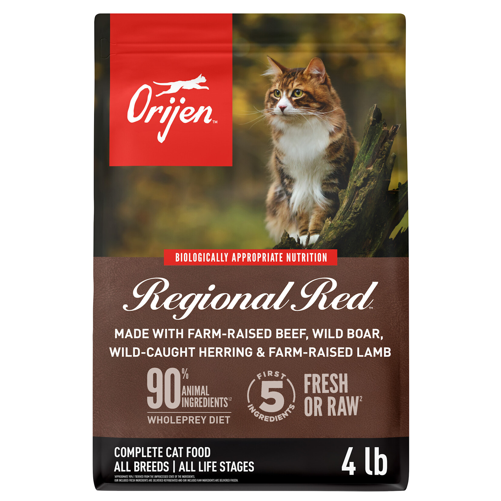 Orijen Orijen Regional Red Dry Cat Food - 4 lb