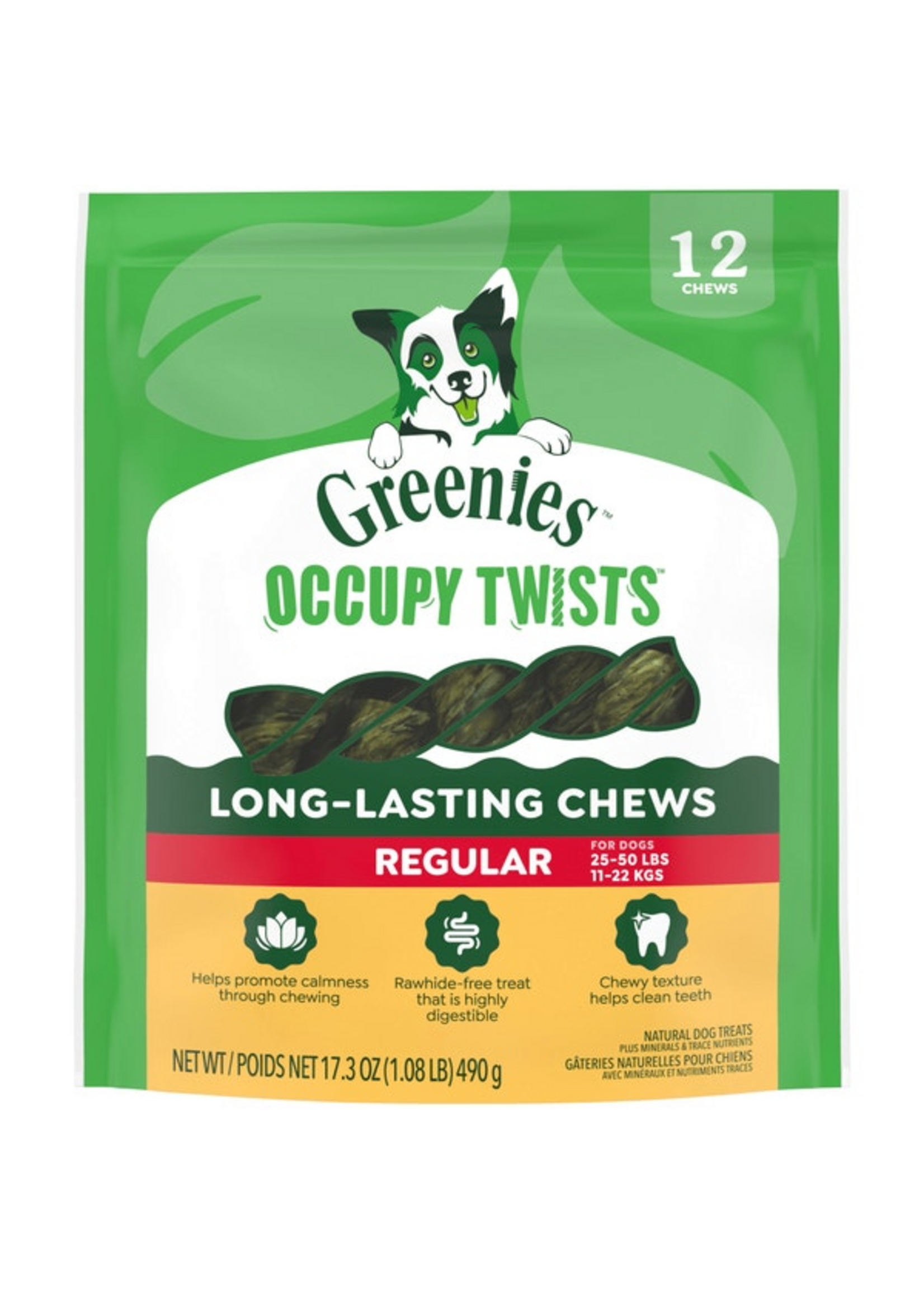 Greenies Greenies Occupy Twists Regular Dog Treats - 17.3 oz, 12 Count