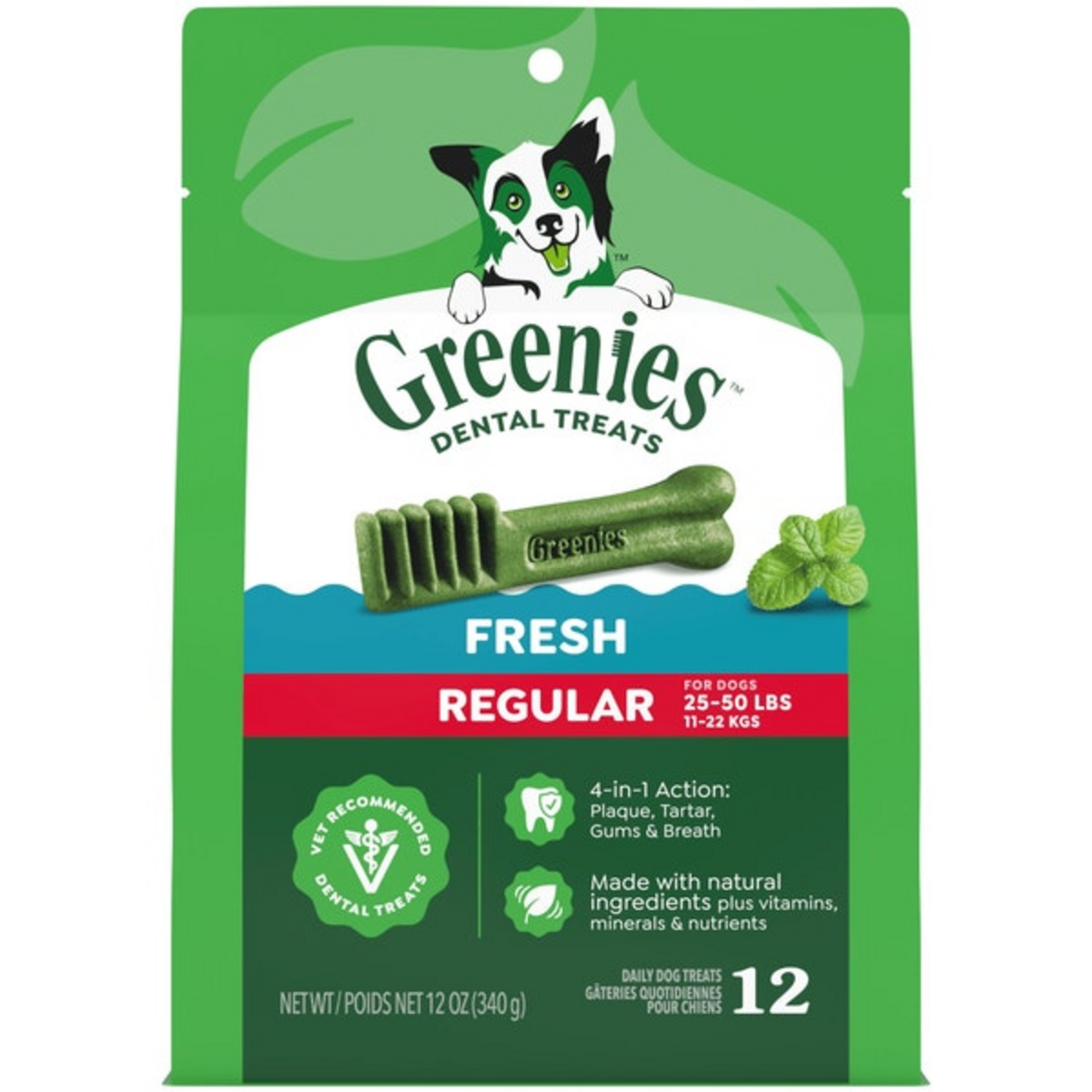 Greenies Greenies Fresh Mint Regular Dog Dental Treats - 12 oz, 12 Count