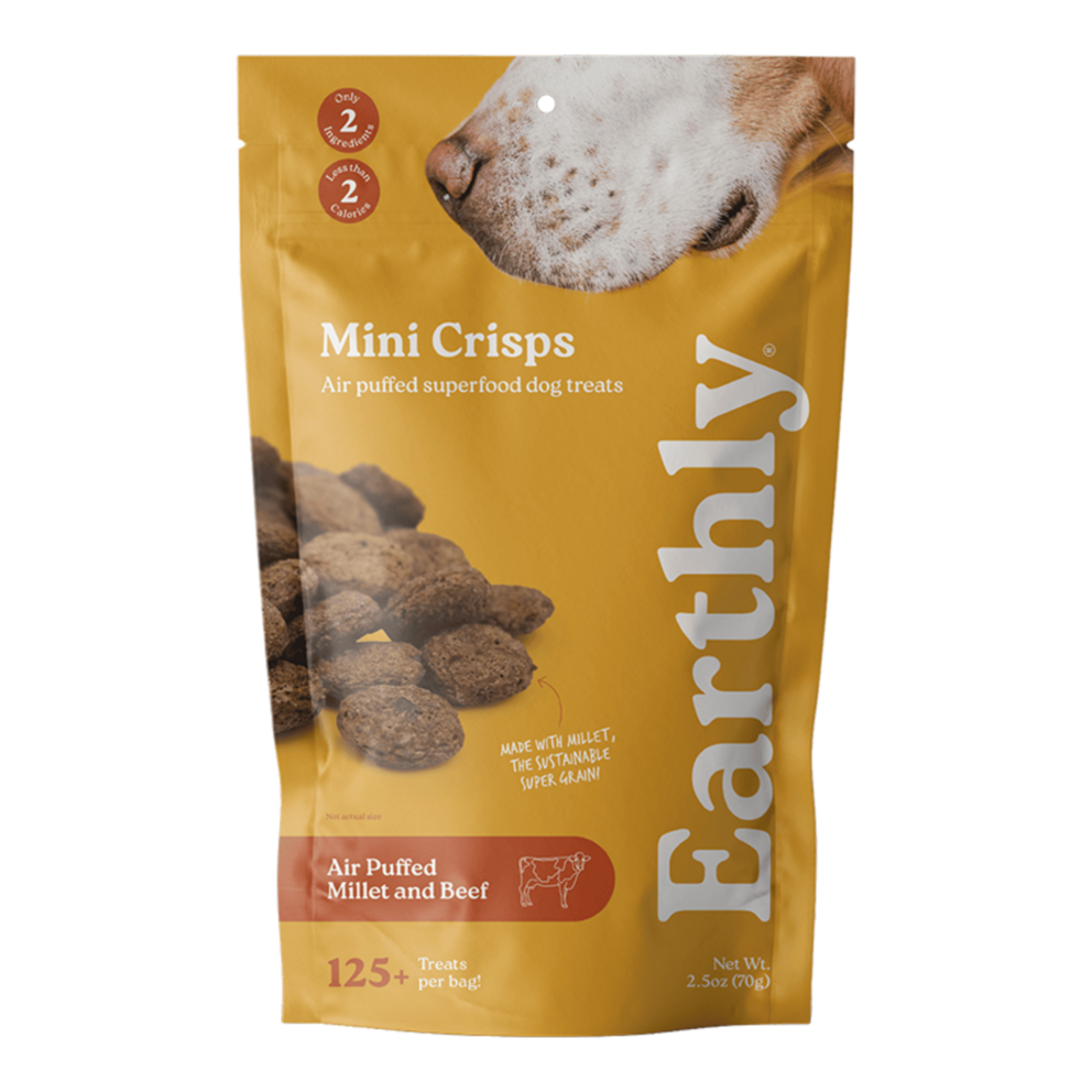 Earthly Pet Earthly Mini Crisps Dog Treats - Air Puffed Millet & Beef - 2.5 oz