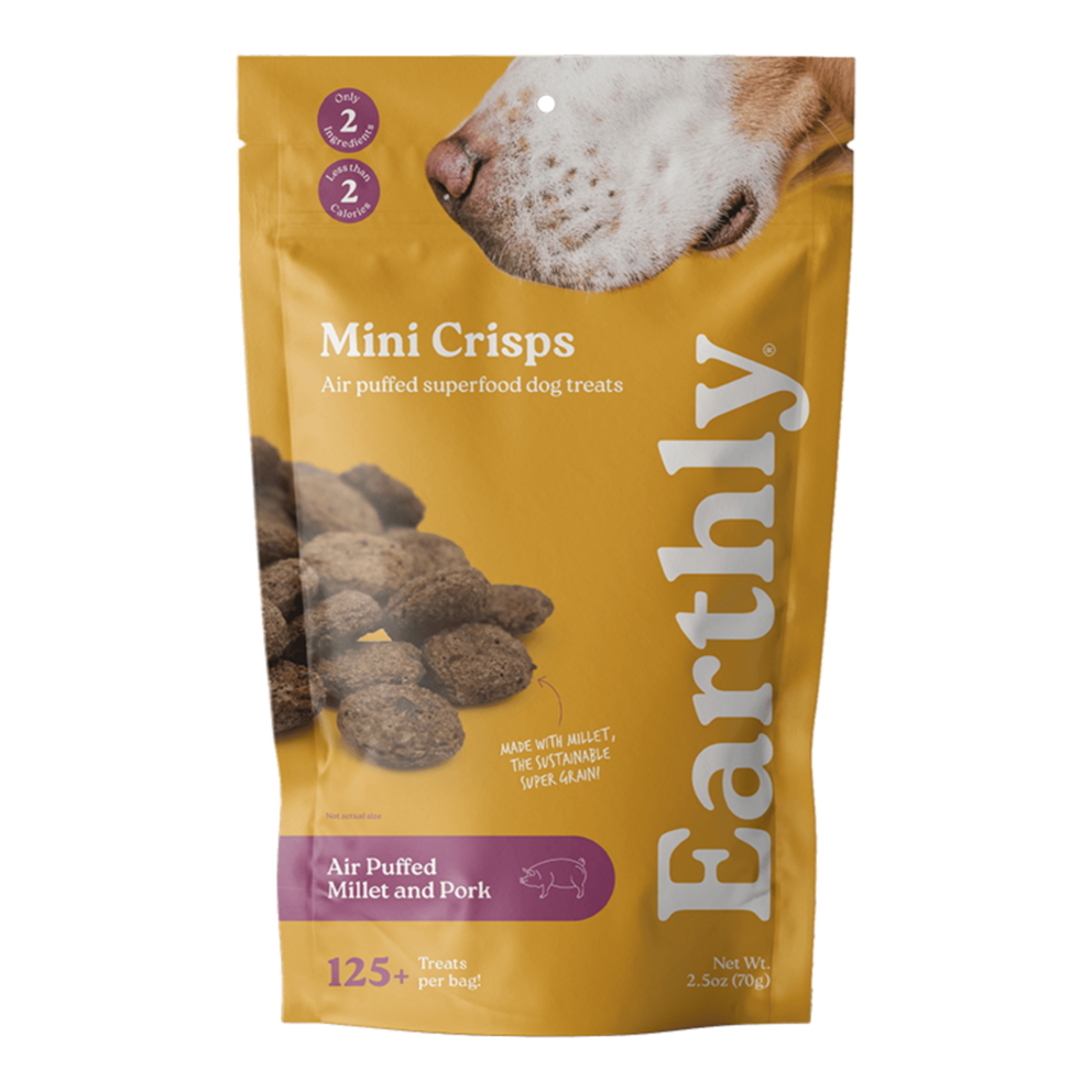 Earthly Pet Earthly Mini Crisps Dog Treats - Air Puffed Millet & Pork - 2.5 oz