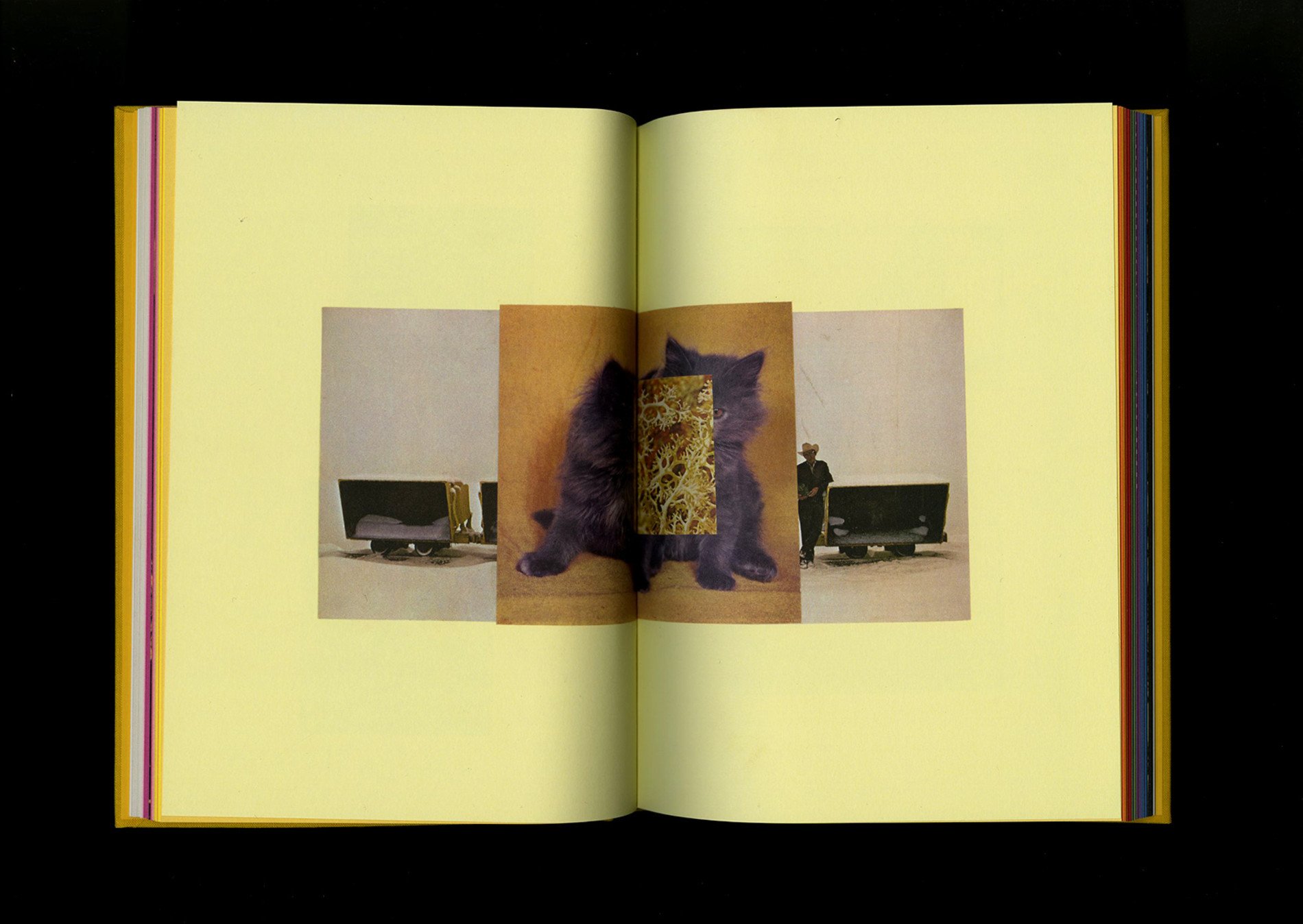 Mack Books Handbook of The Spontaneous Other