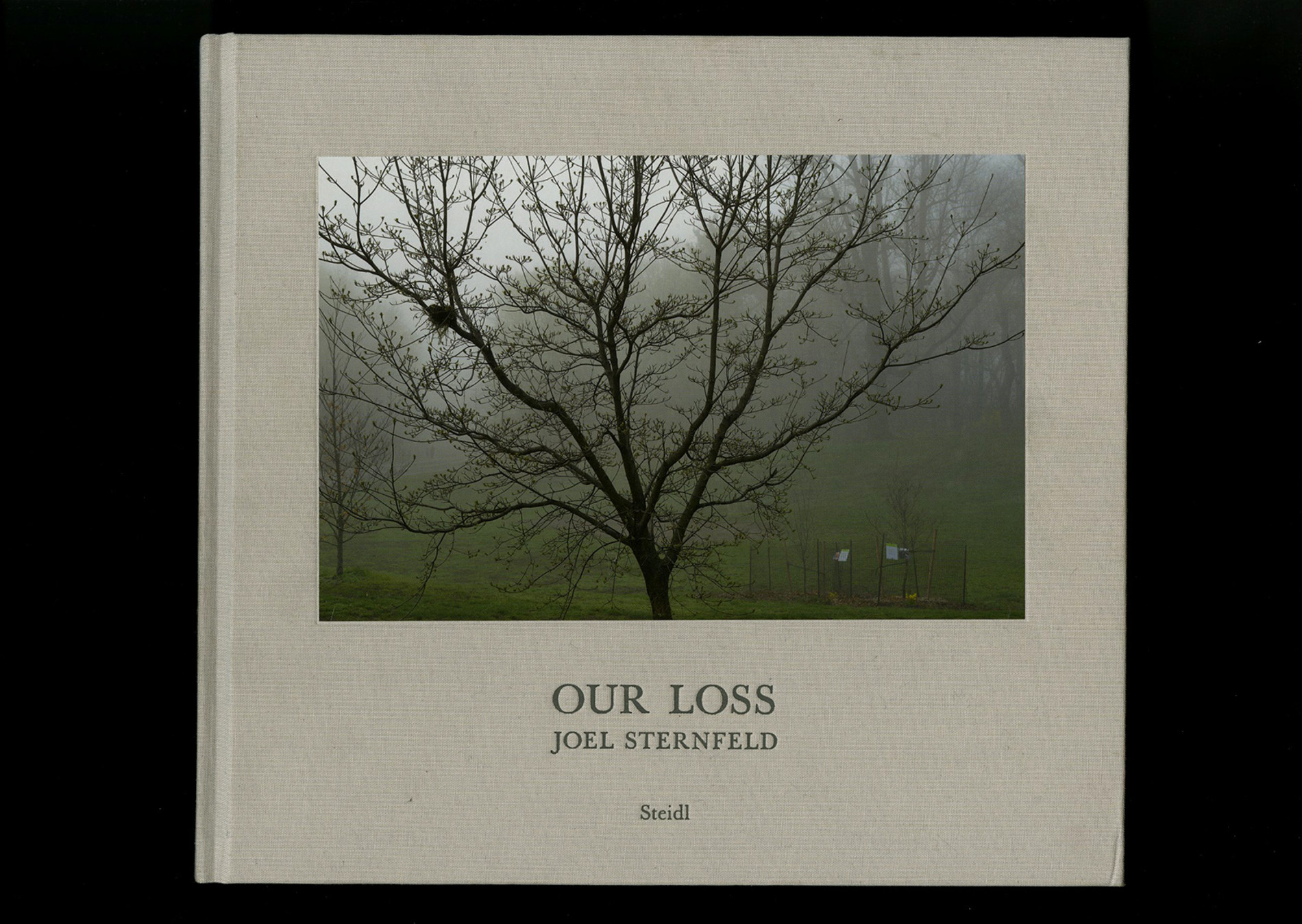Joel Sternfeld: Our Loss