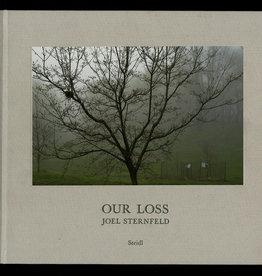 Joel Sternfeld: Our Loss