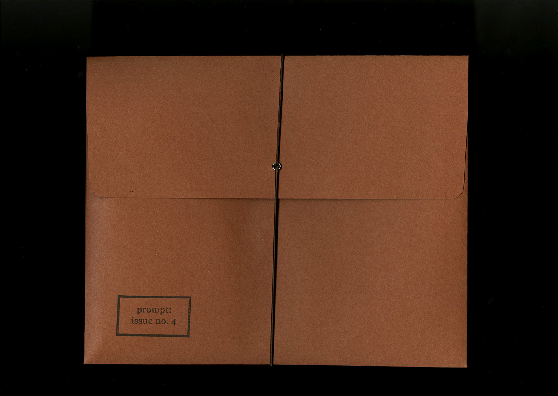 Prompt: prompt: Anna Plesset & Kathryn Brackney, issue no. 4