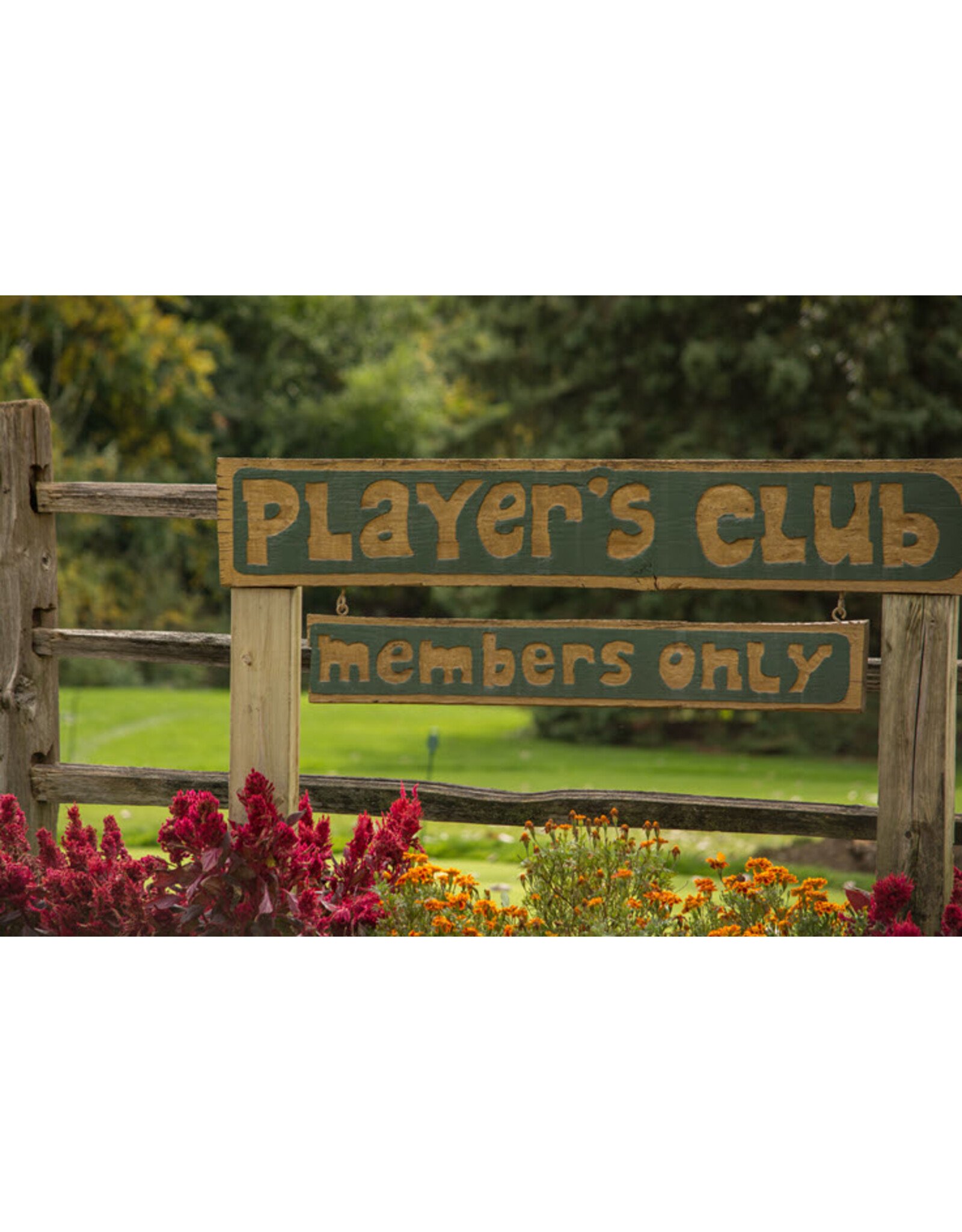 PLAYERS CLUB 2025 - REGULAR $185