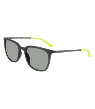 DRAGON DRAGON ZIGGY MATTE GRY SUNGLASSES w/ LL SLVR ION LENS