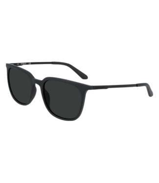 DRAGON DRAGON ZIGGY MATTE BLACK SUNGLASSES w/ LL SMK LENS