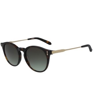 DRAGON DRAGON HYPE TORT SUNGLASSES w/ LL G15 GRADIENT LENS