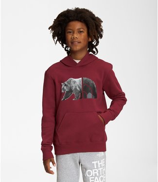 THE NORTH FACE THE NORTH FACE BOYS CAMP FLEECE PULLOVER HOODIE CORDOVAN 2023